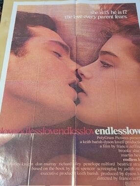 ENDLESS LOVE 1981 BROOKE SHIELDS FRANCO ZEFIRELLI 27X41" POSTER